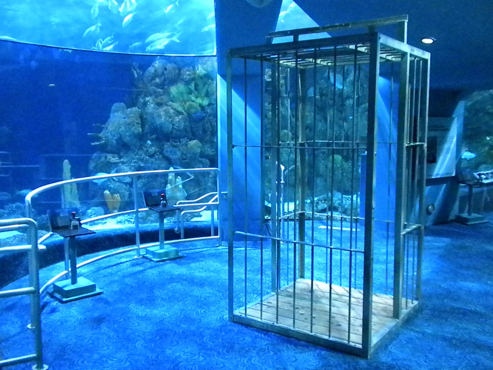 Aquarium 2010 - shark reef