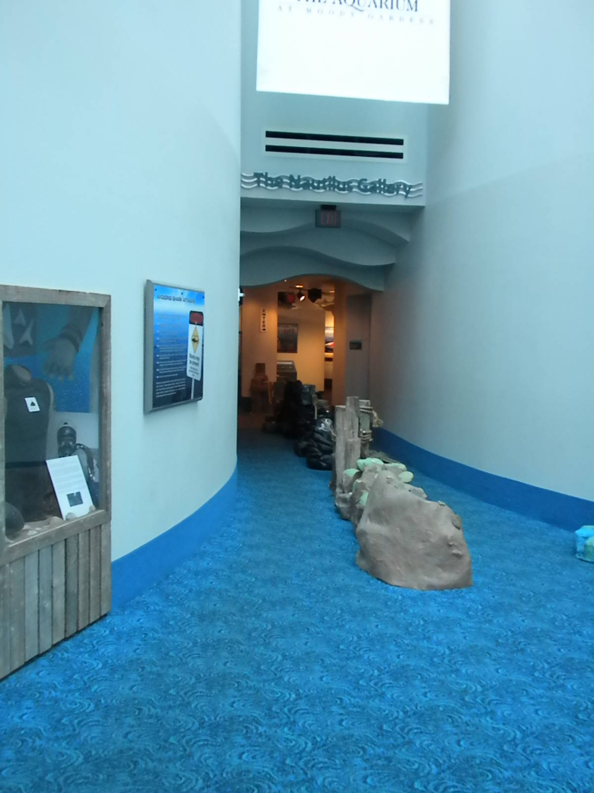 Aquarium 2010 - Temporary shark exhibit