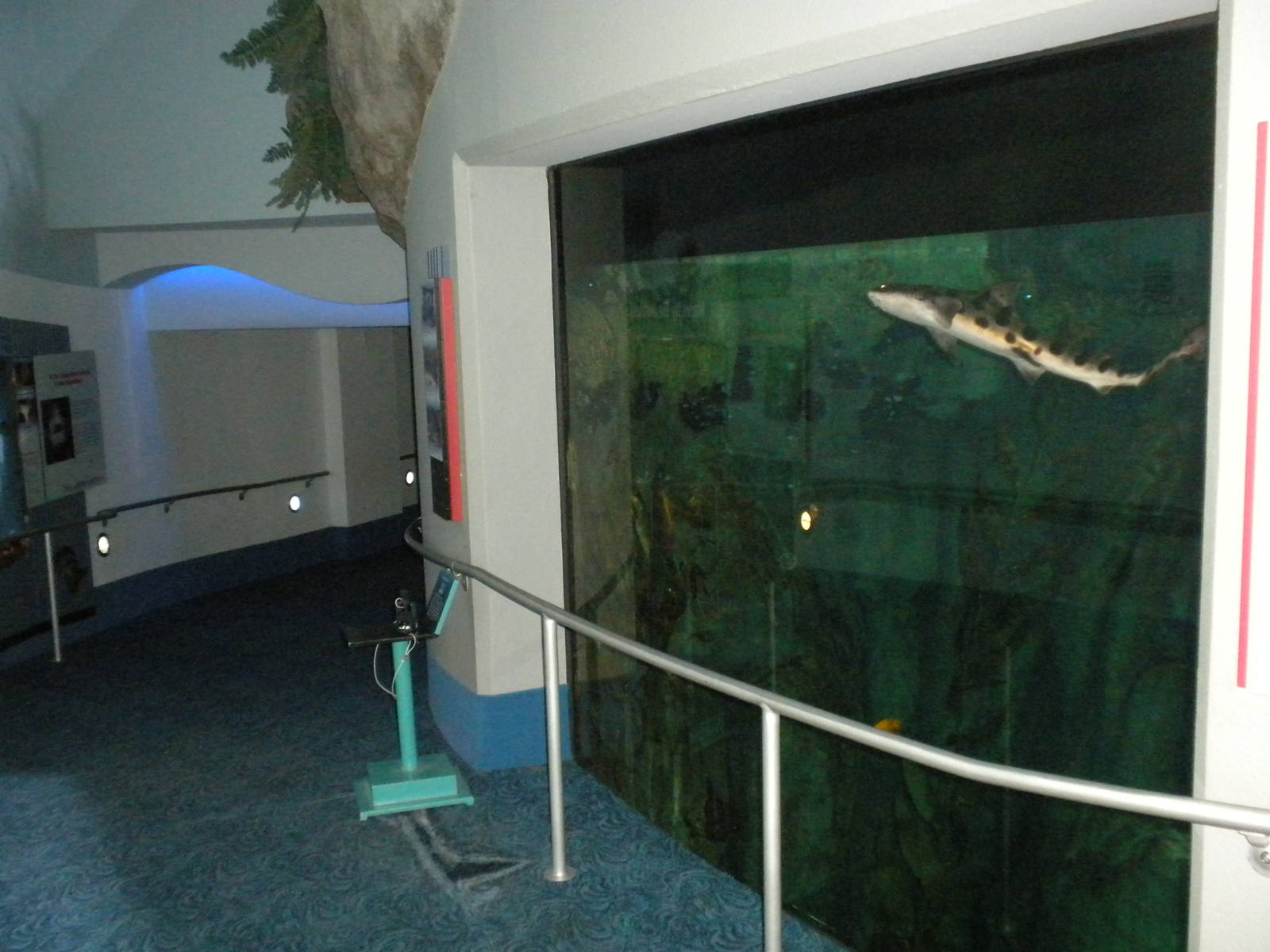 Aquarium 2010