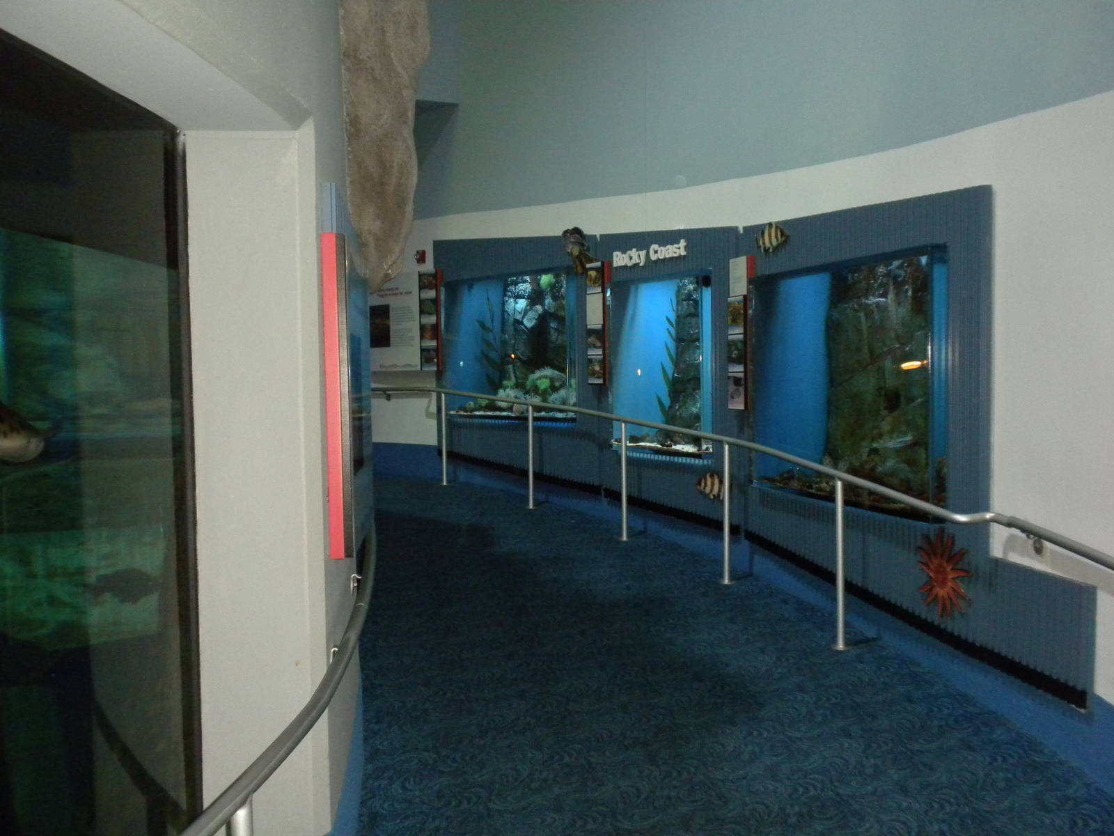 Aquarium 2010