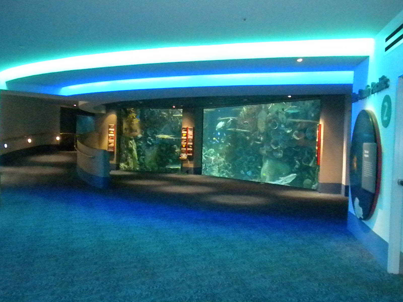 Aquarium 2010