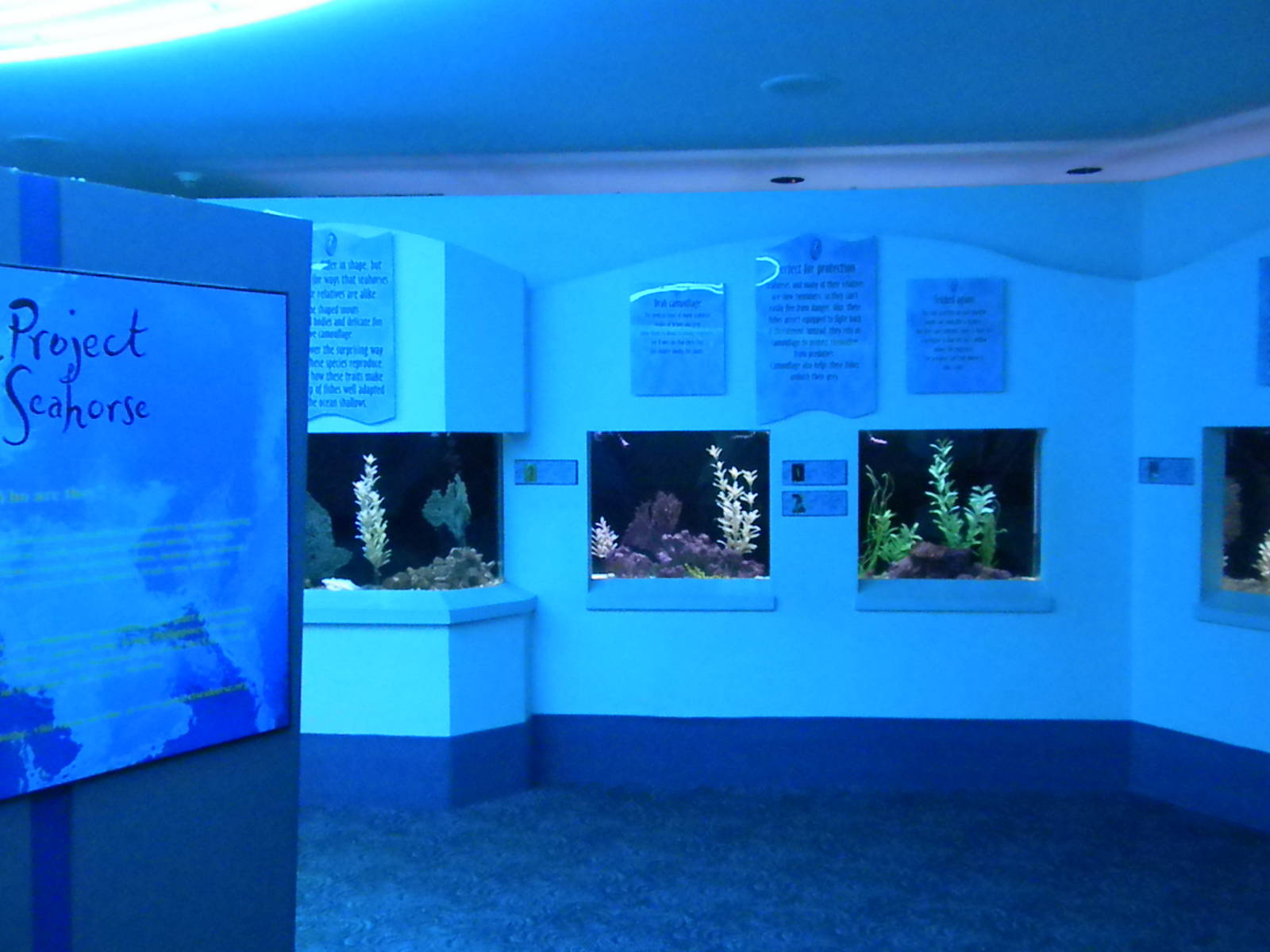 Aquarium 2010