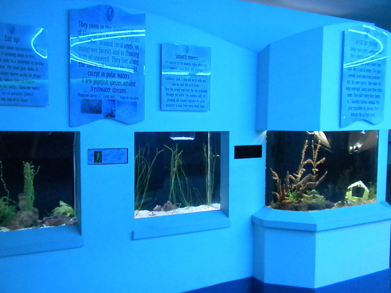 Aquarium 2010