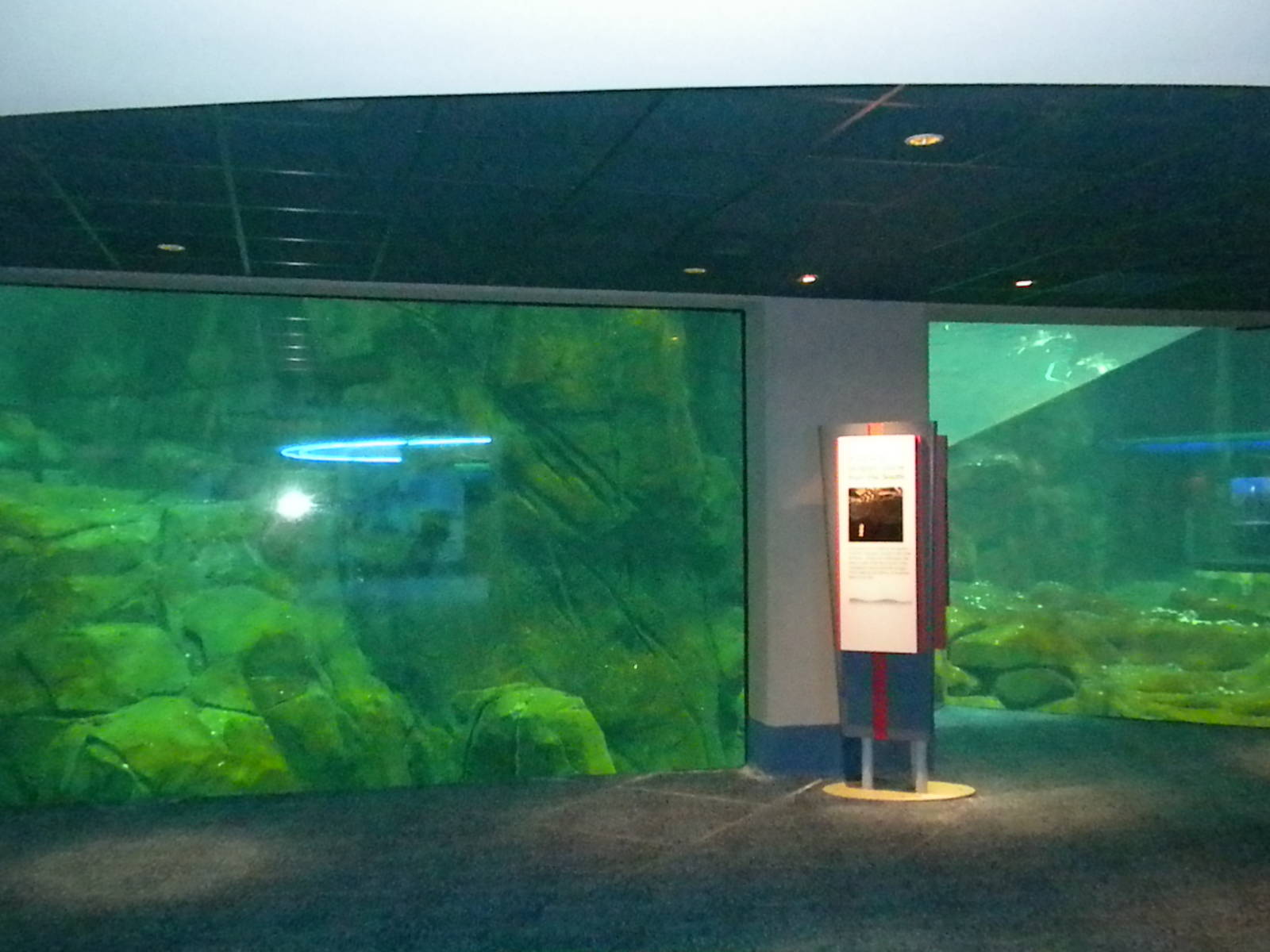 Aquarium 2010