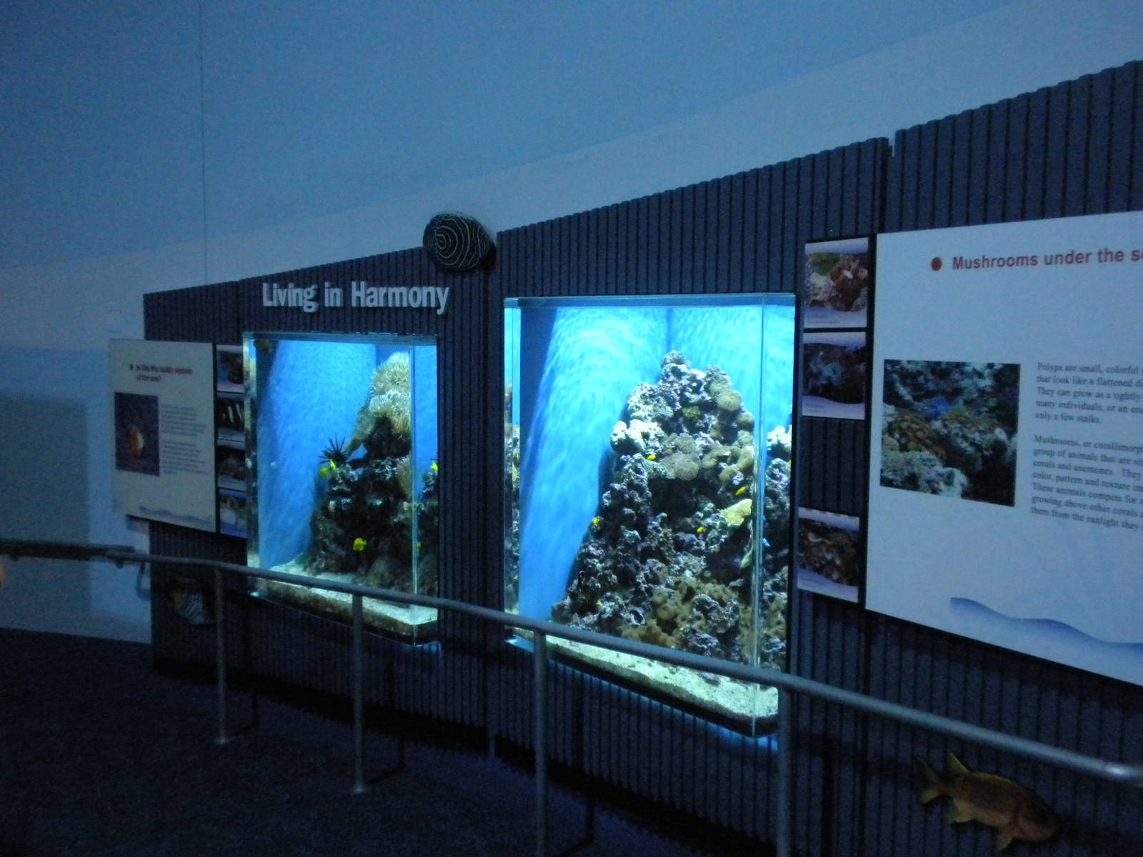 Aquarium 2010