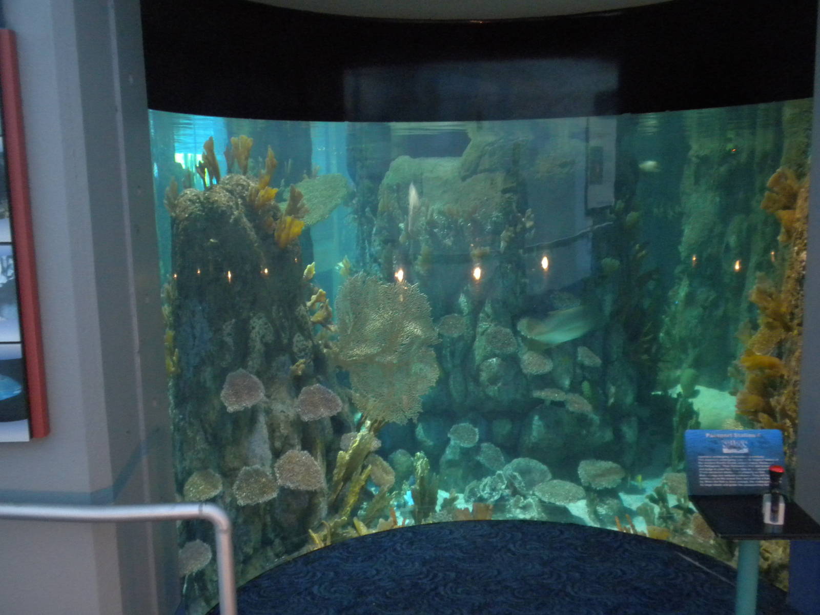 Aquarium 2010