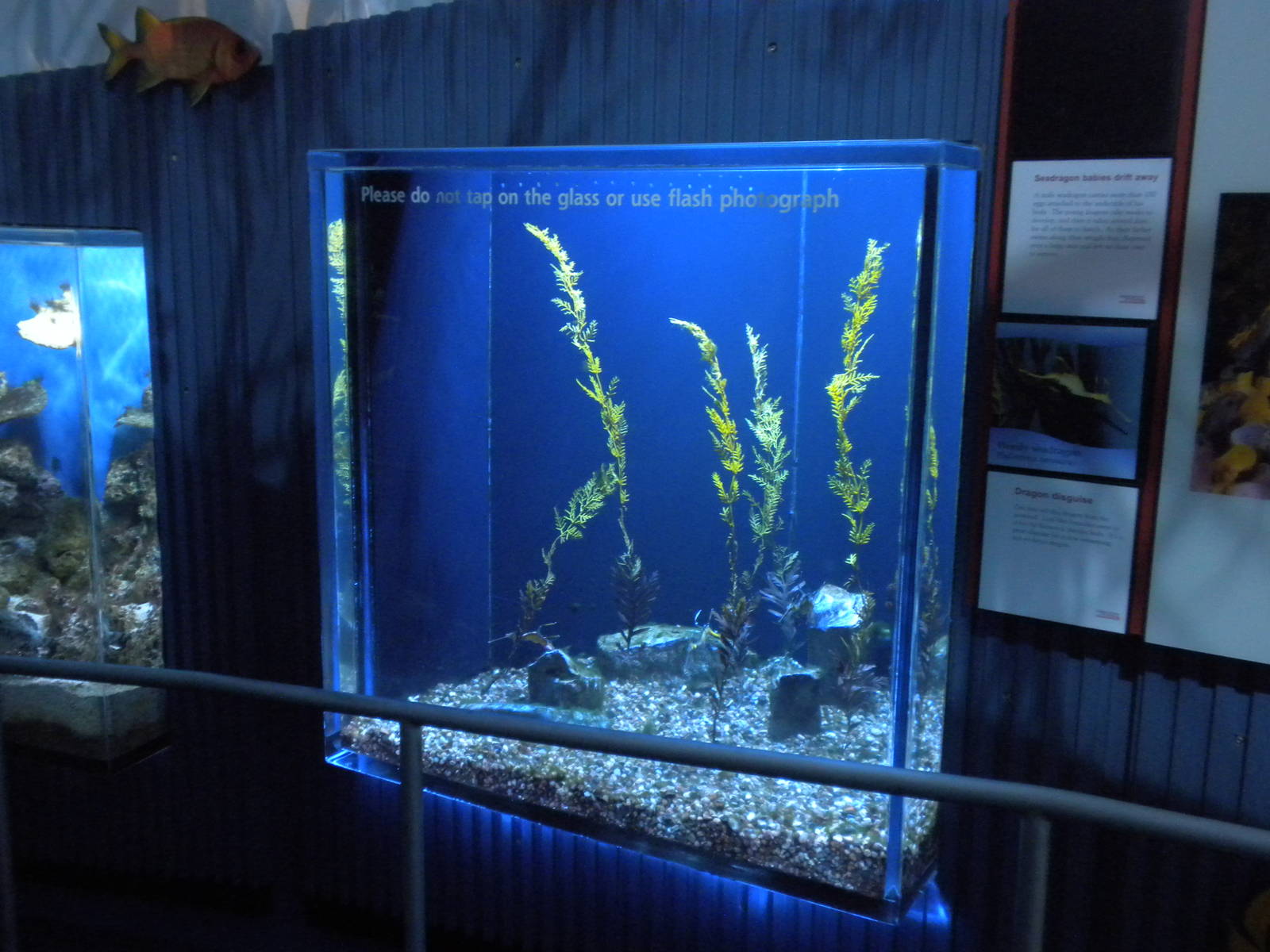 Aquarium 2010