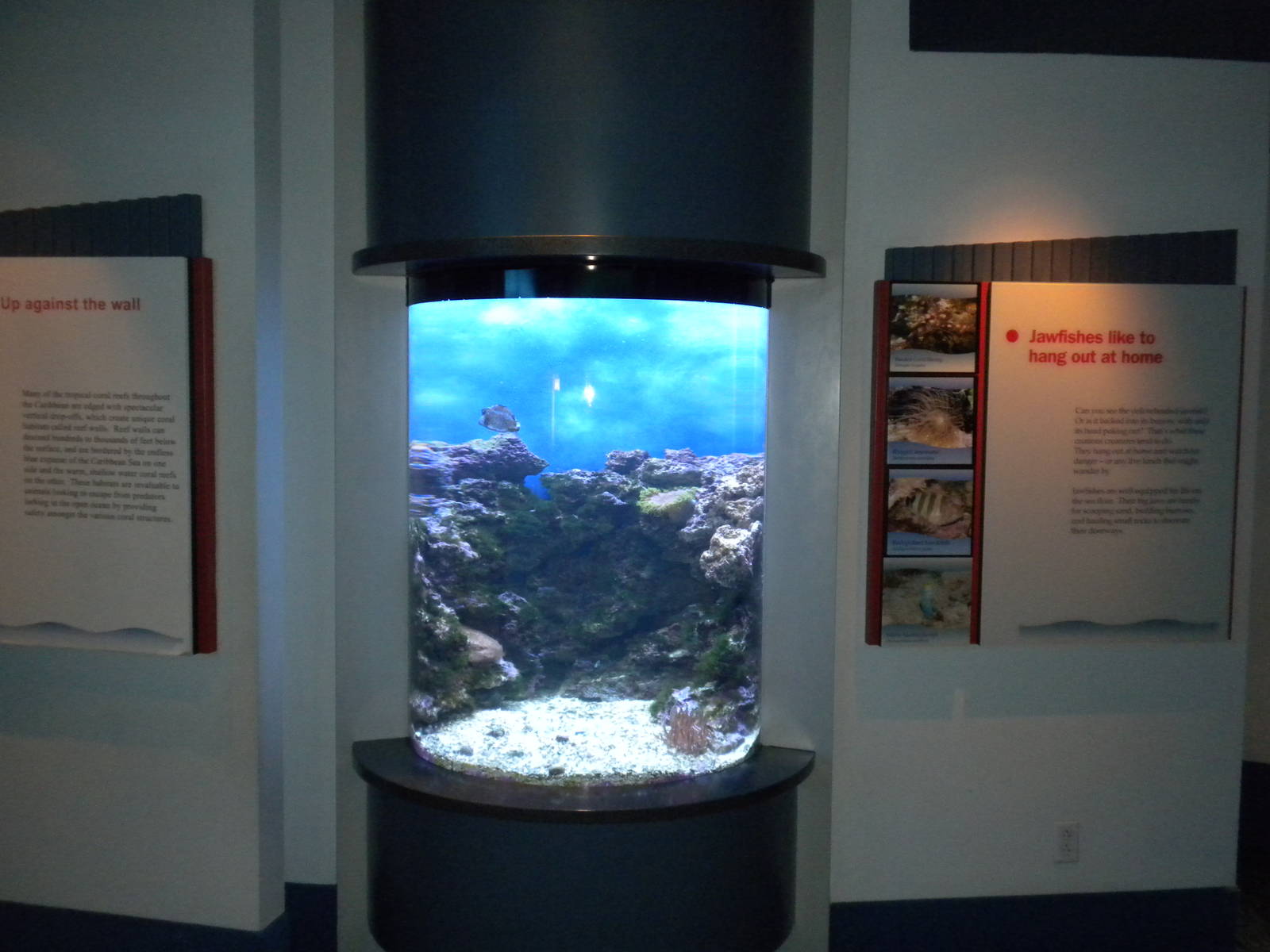 Aquarium 2010