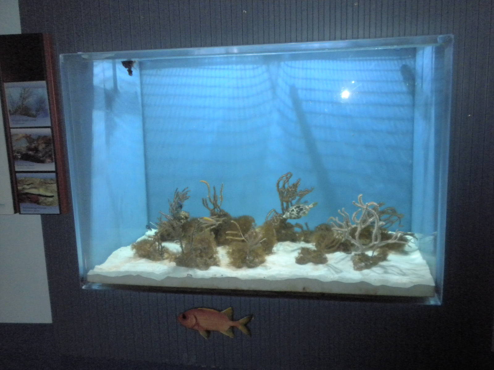 Aquarium 2010