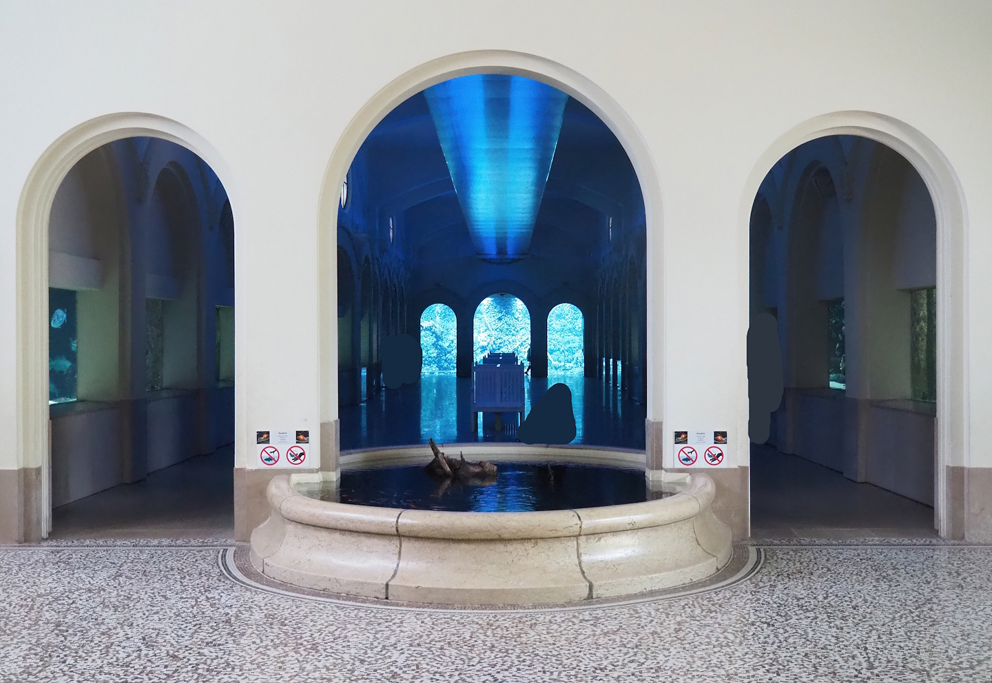 Aquarium, 2022-08-16