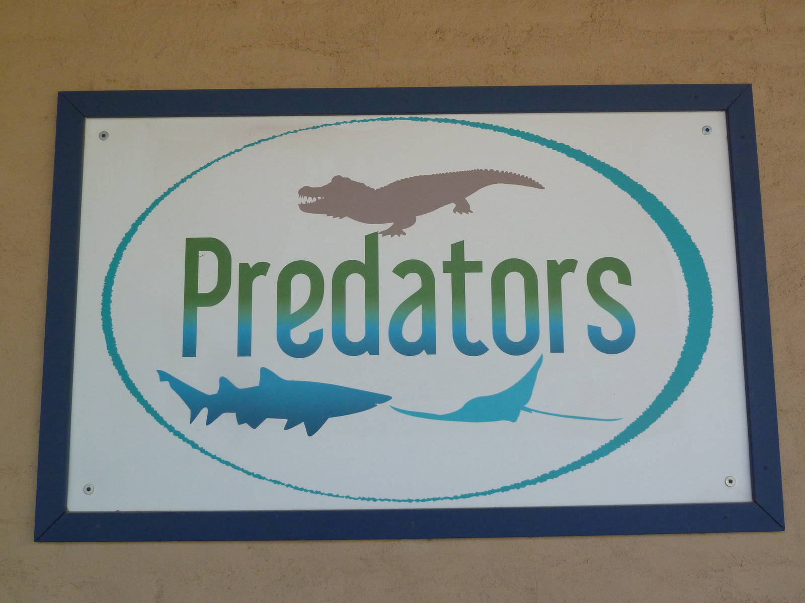 Aquarium #3 - Predators