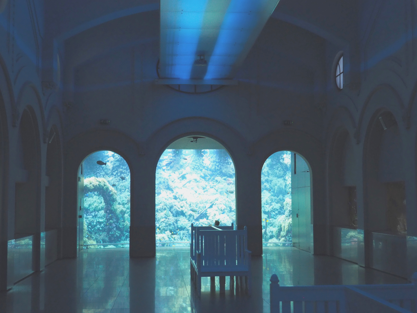 Aquarium - 300,000 liter living reef tank viewing area, 2020-09-20