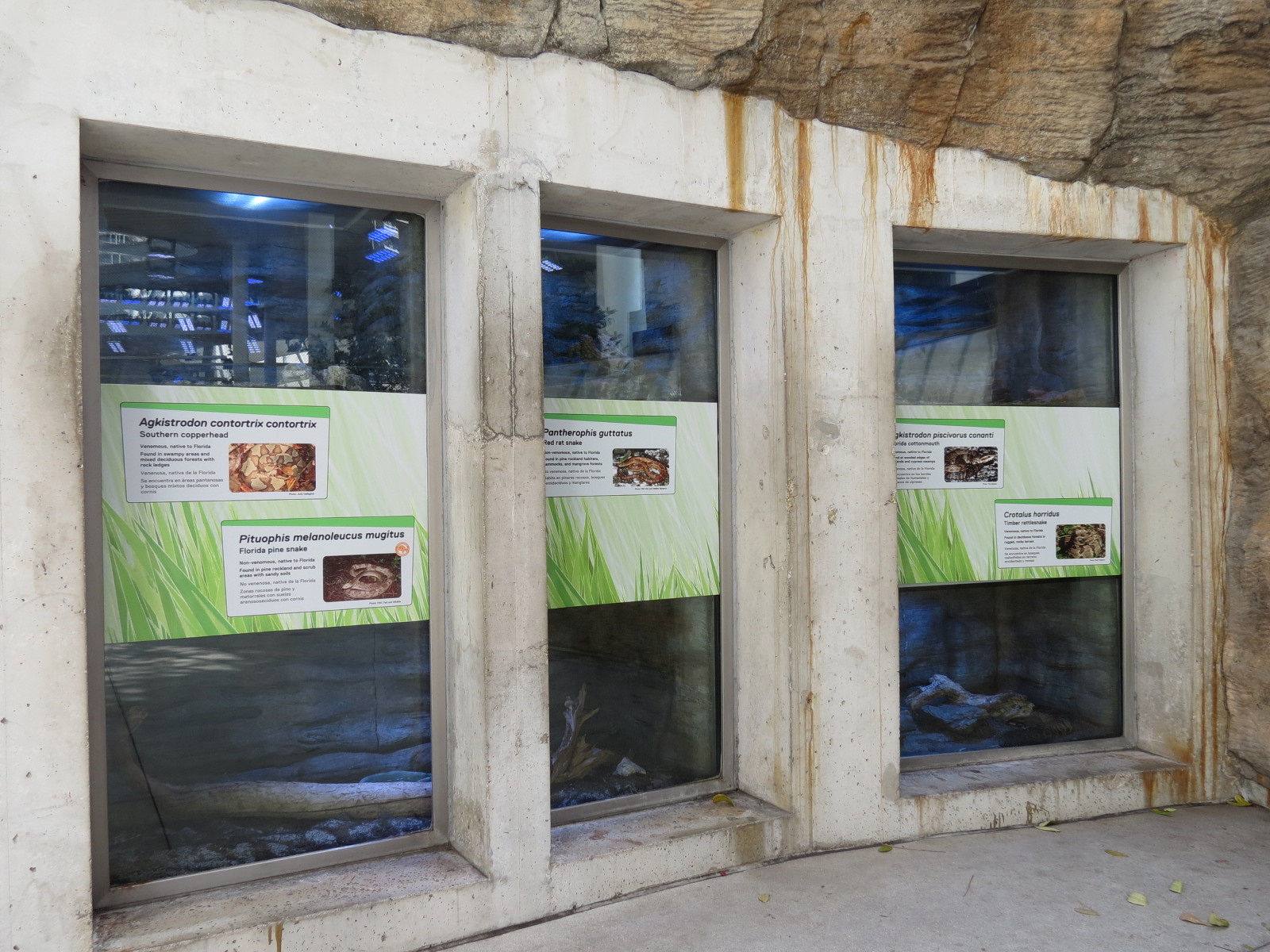 Aquarium - 5 Snake Exhibits