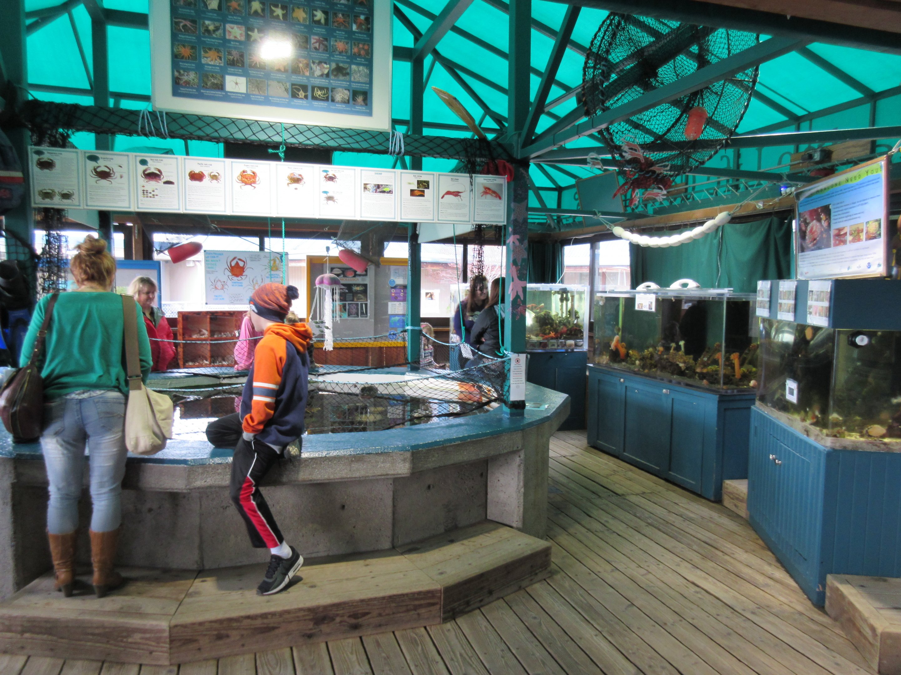 Aquarium (75% of the entire facility)