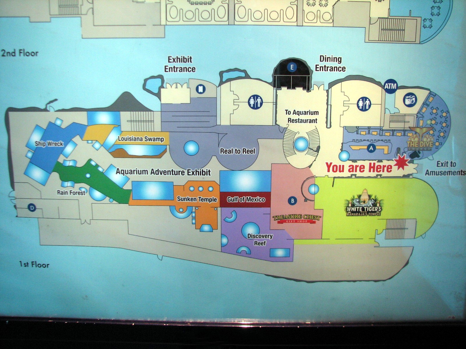 Aquarium Adventure Exhibit Floorplan