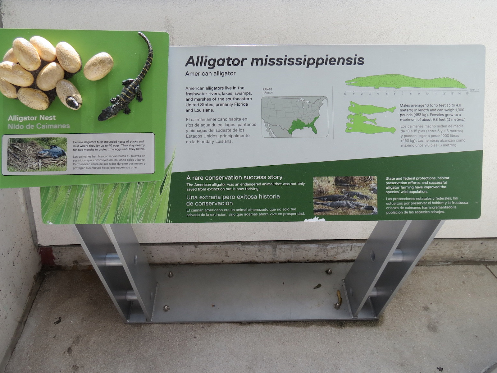 Aquarium - American Alligator Exhibit - Sign
