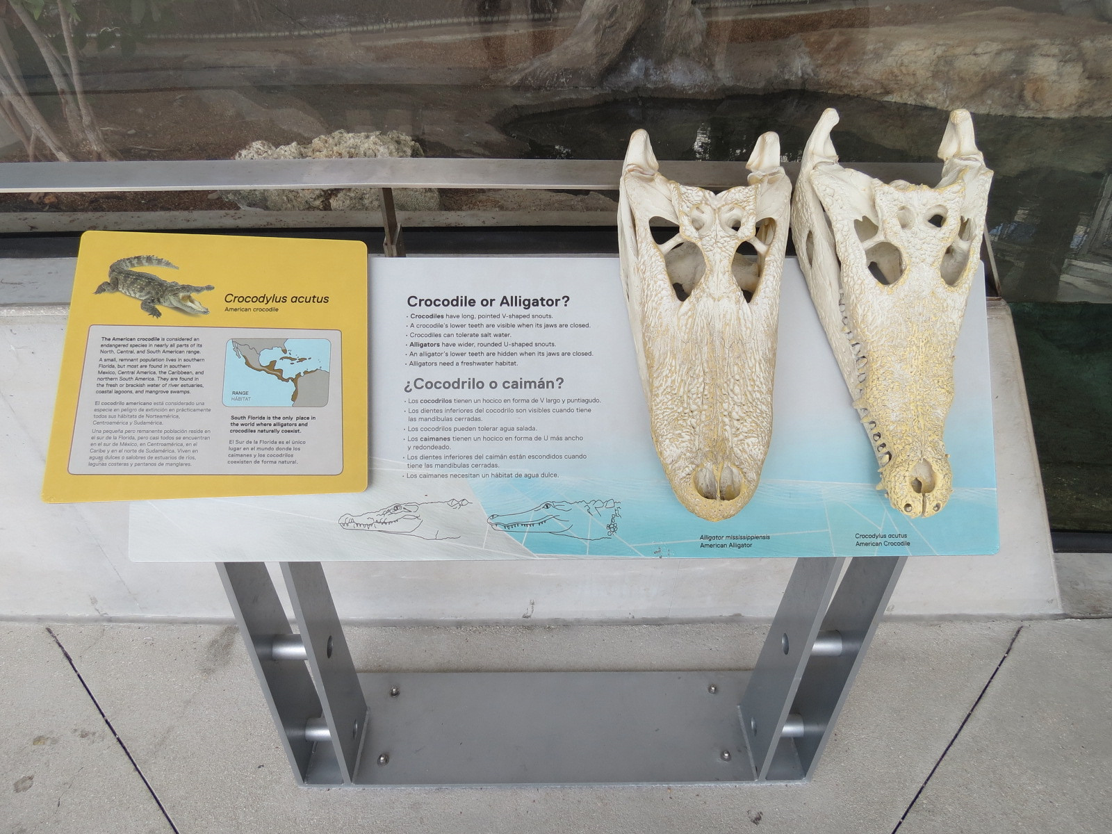 Aquarium - American Crocodile Exhibit - Sign
