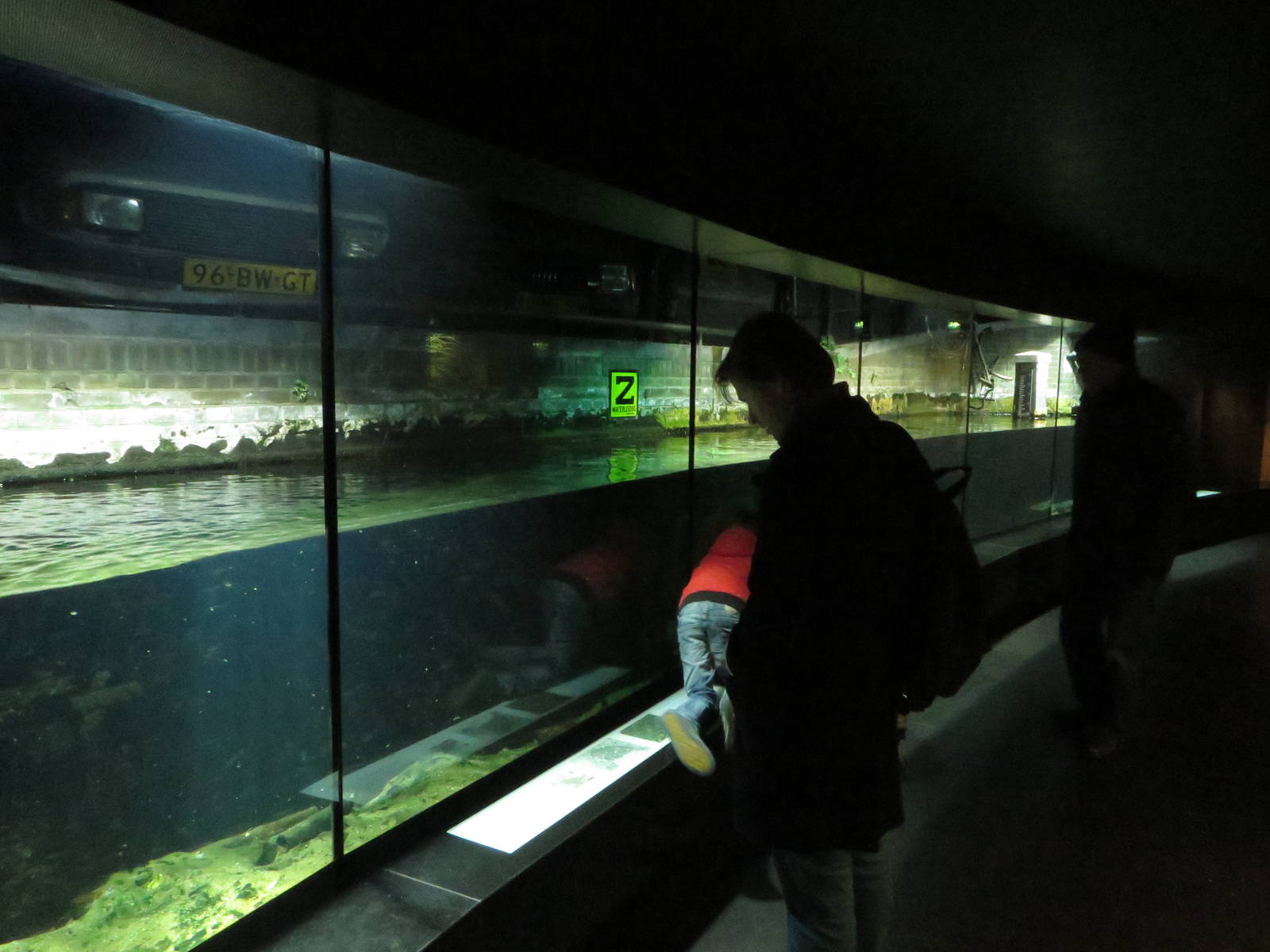 Aquarium - Amsterdam canal