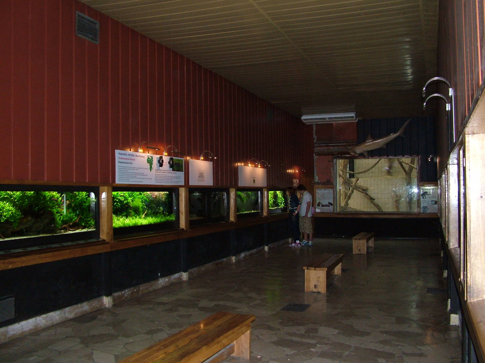 Aquarium and Chimp House at Warsaw Zoo Sept 2008