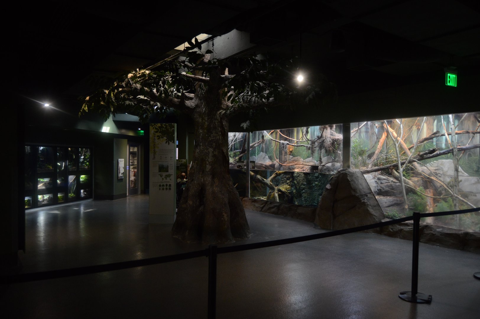 Aquarium and Reptile Conservation Center - Temperate Forest Exhibits