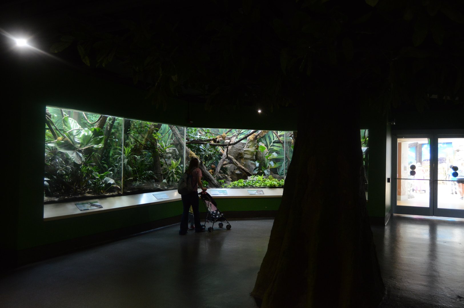 Aquarium and Reptile Conservation Center - Tropical Forest Exhibits