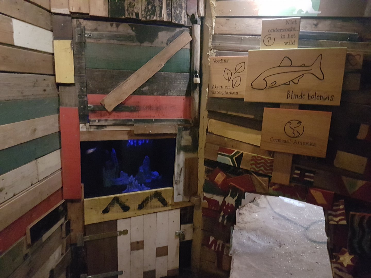 Aquarium and signs Mexican blind cave fish