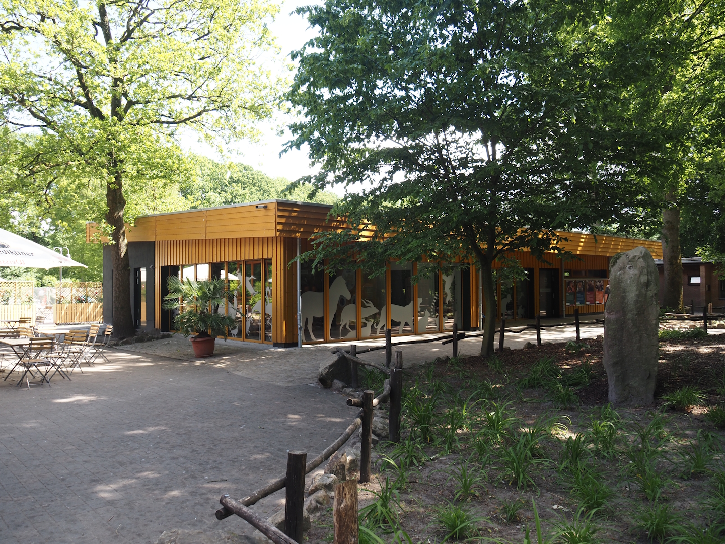 Aquarium and terrarium room and Zoo School, 2025-05-22