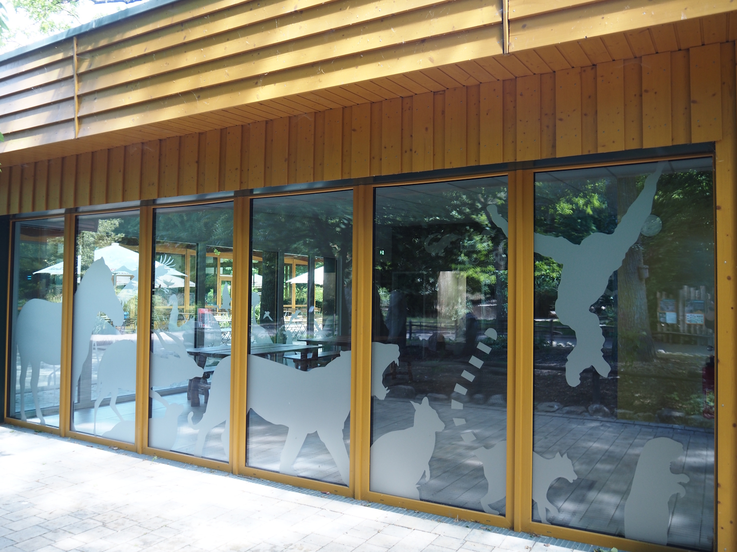 Aquarium and Terrarium room and Zoo School, 2025-05-22