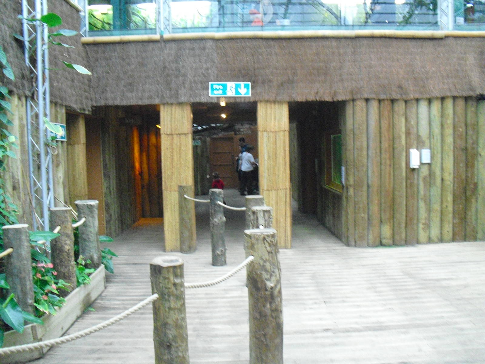 Aquarium Area - 12/10/2011