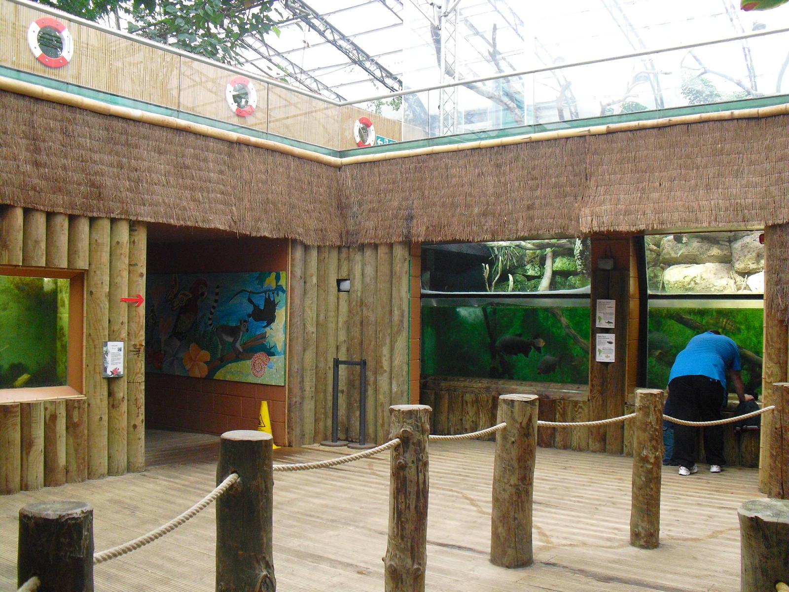 Aquarium Area - 12/10/2011