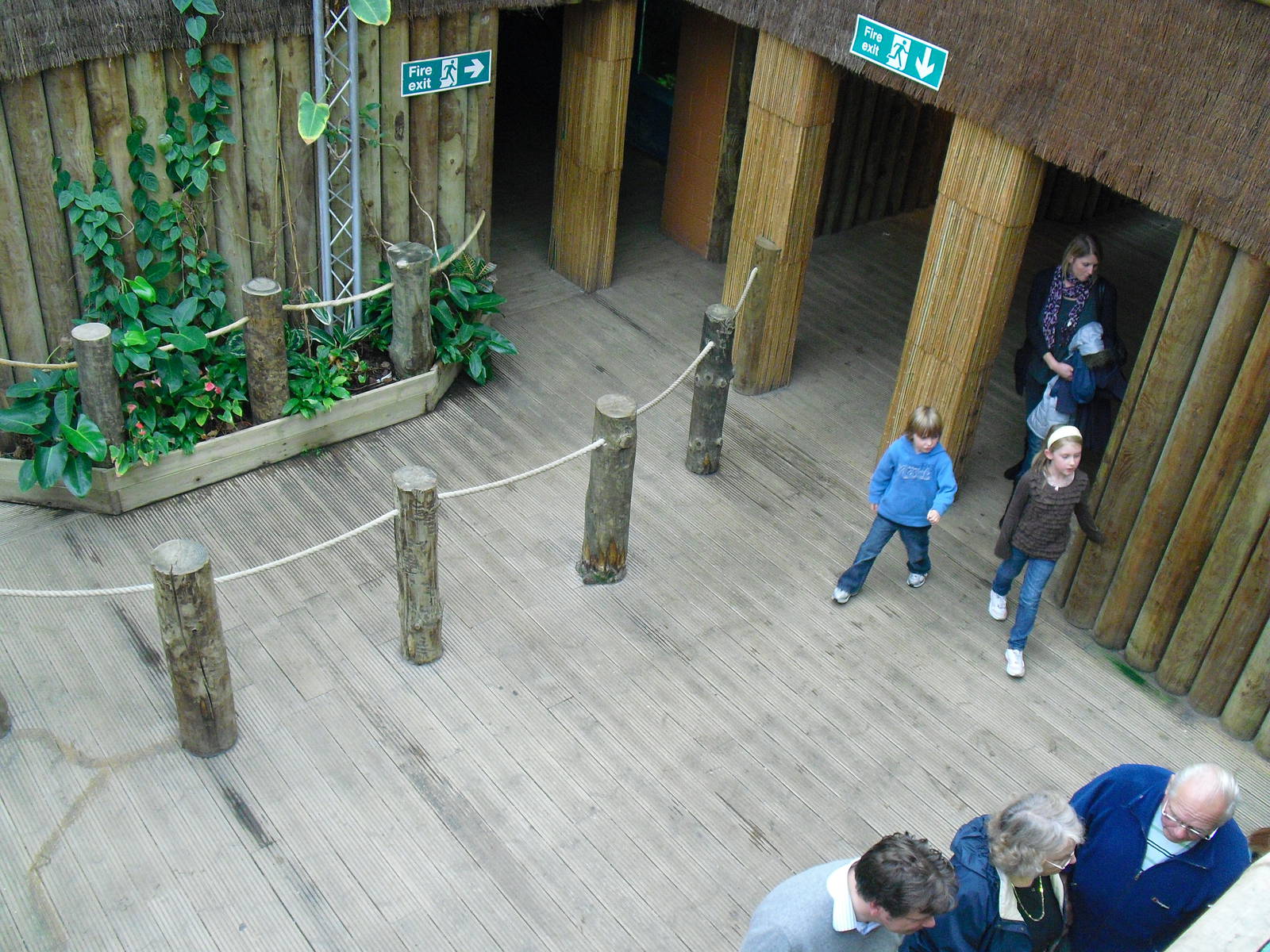 Aquarium Area - 27/10/2011