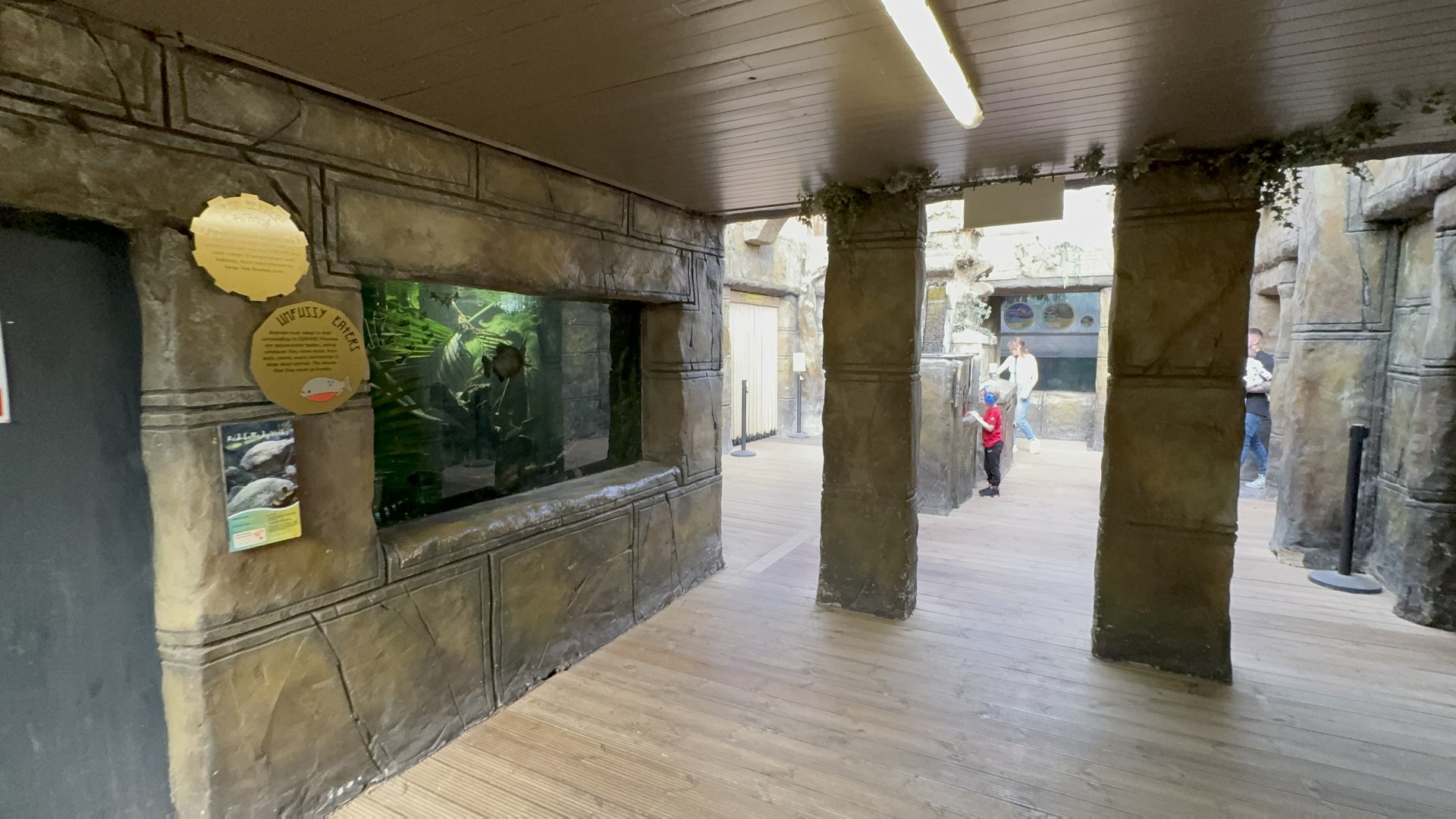 Aquarium Area at Tropical World (October 2024)