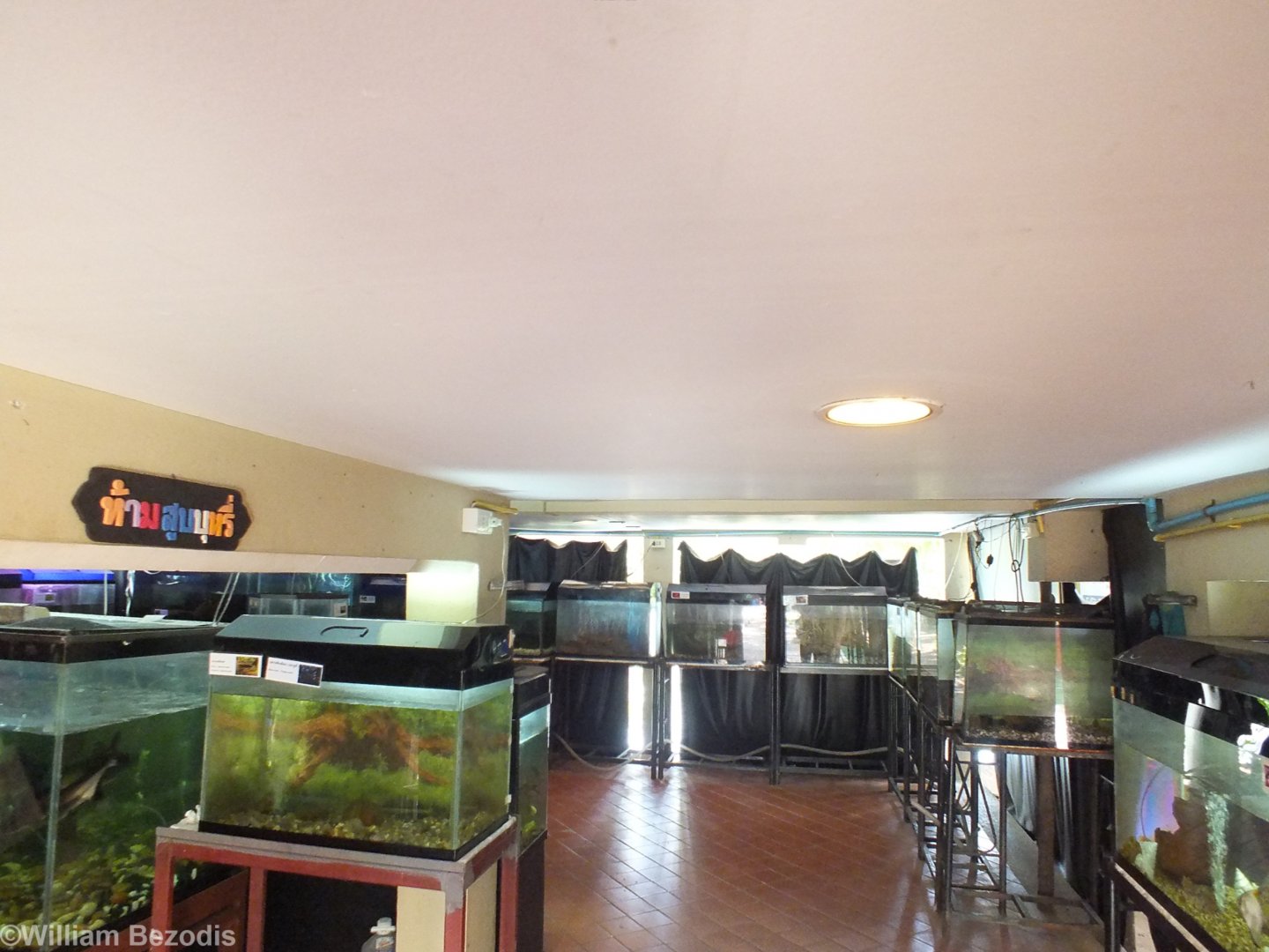 Aquarium Area Under Building