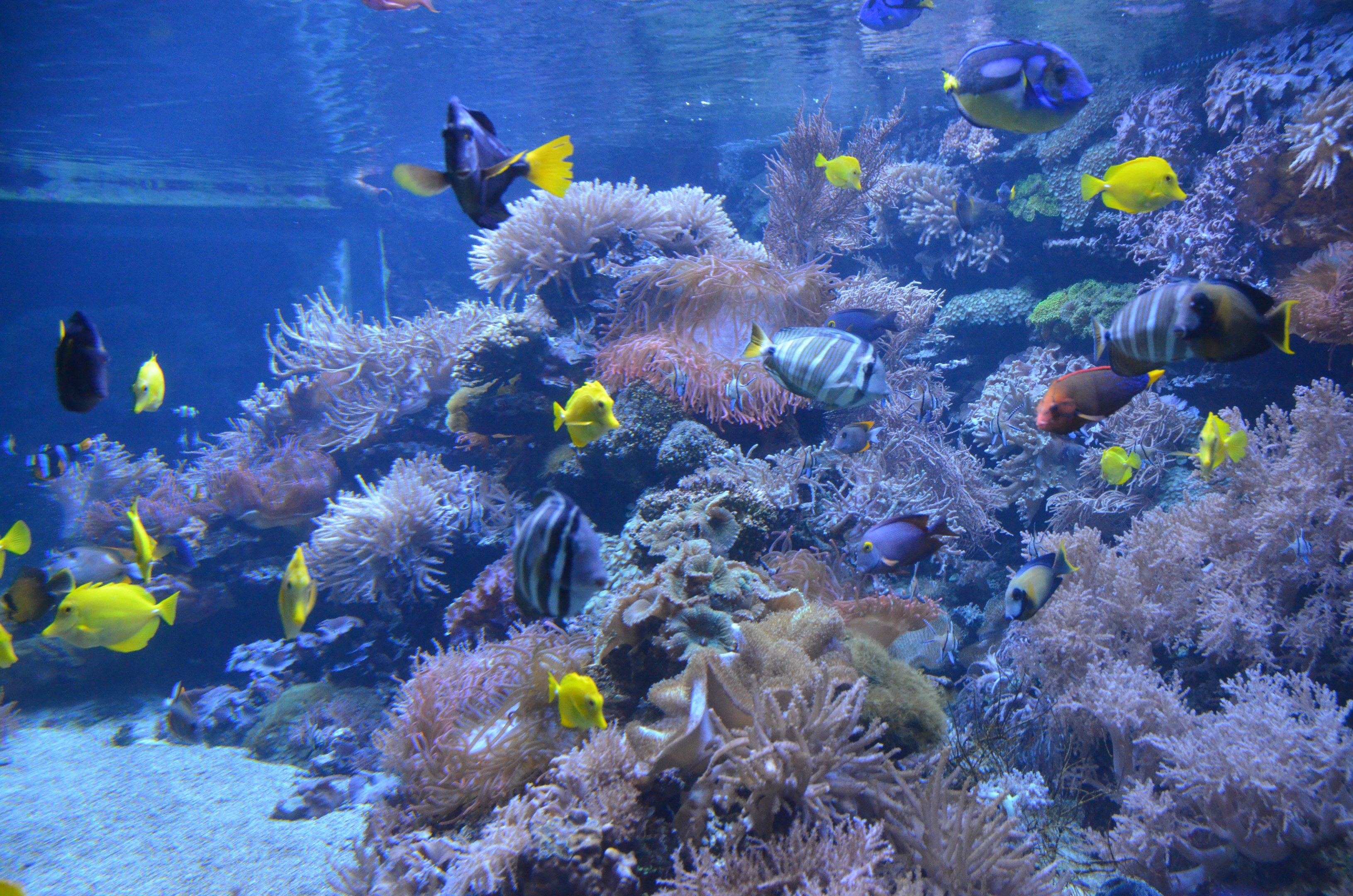 Aquarium at Duisburg, 17/06/19