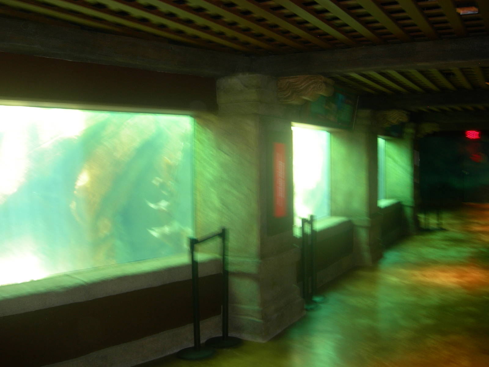 aquarium at entrace of manta rollercoaster