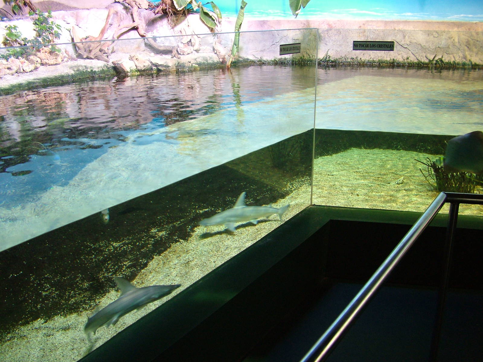 Aquarium at Madrid Zoo Aquarium, 26/05/11