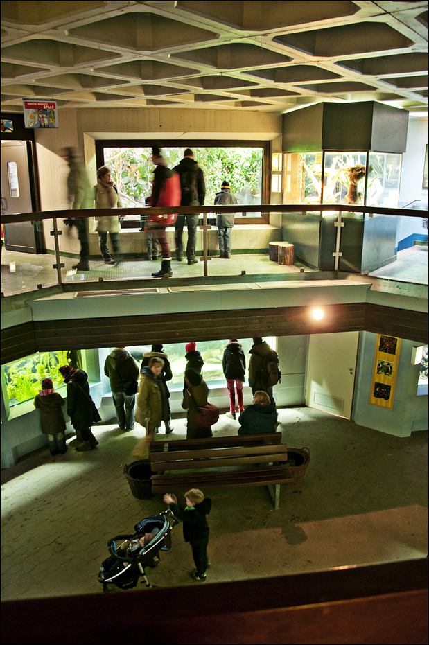 Aquarium at Münster