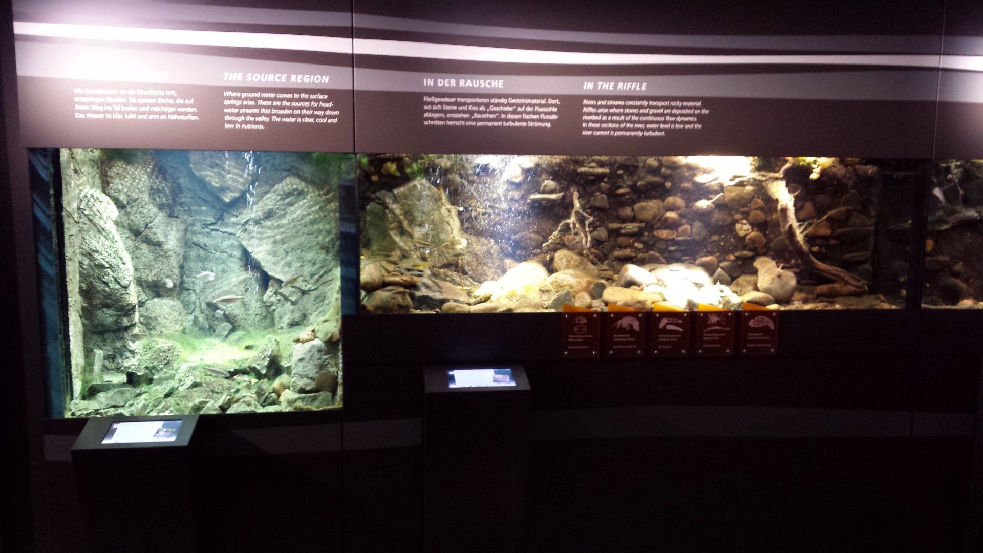 Aquarium at Museum Koenig Bonn