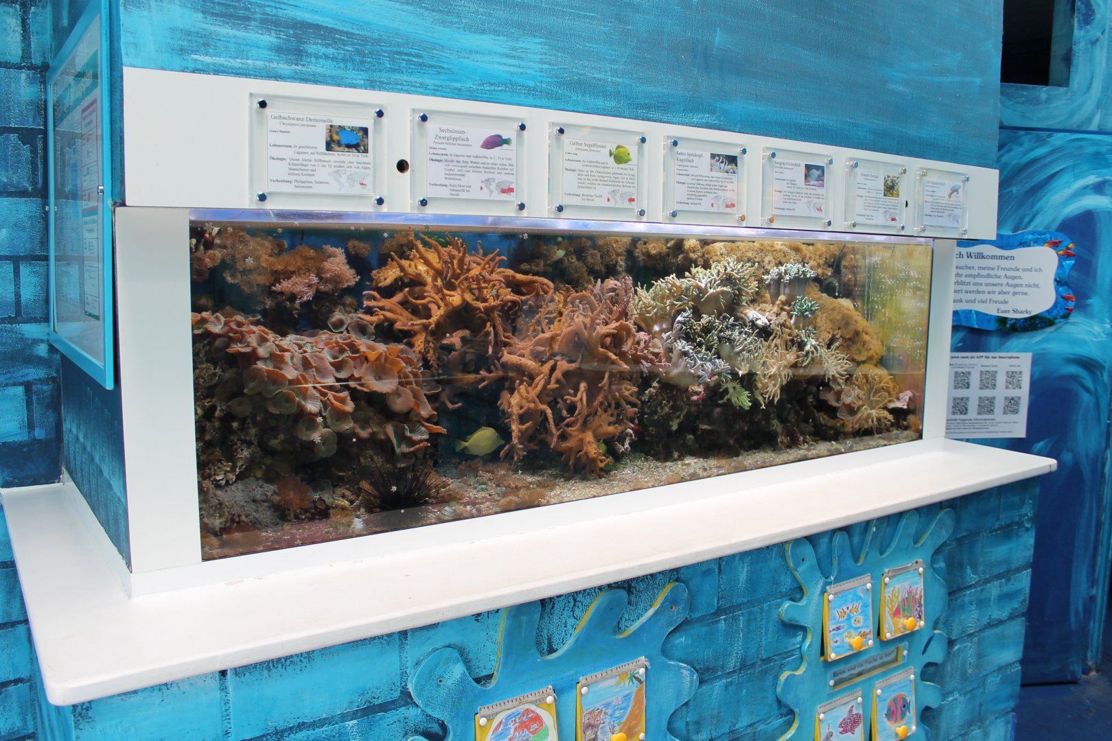 Aquarium at the entrance