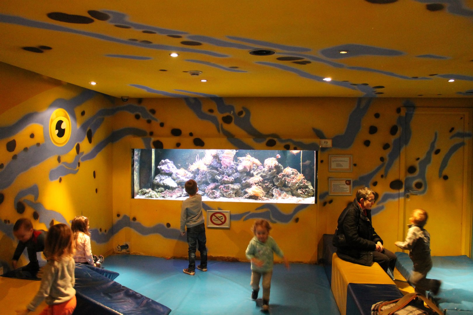 Aquarium at the Playing Area
