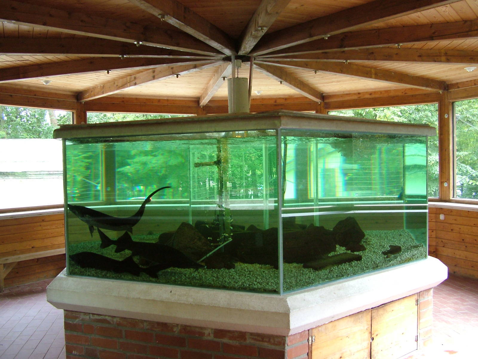 Aquarium at Tierpark Neumuenster 2007