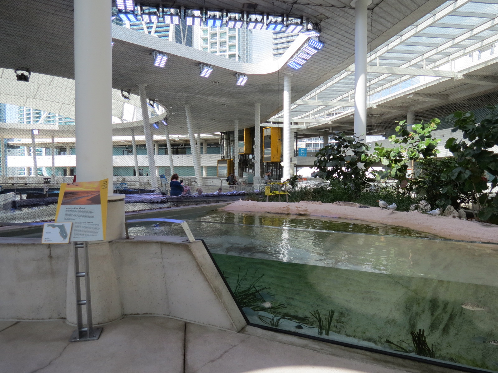 Aquarium - Aviary - Beach Exhibit