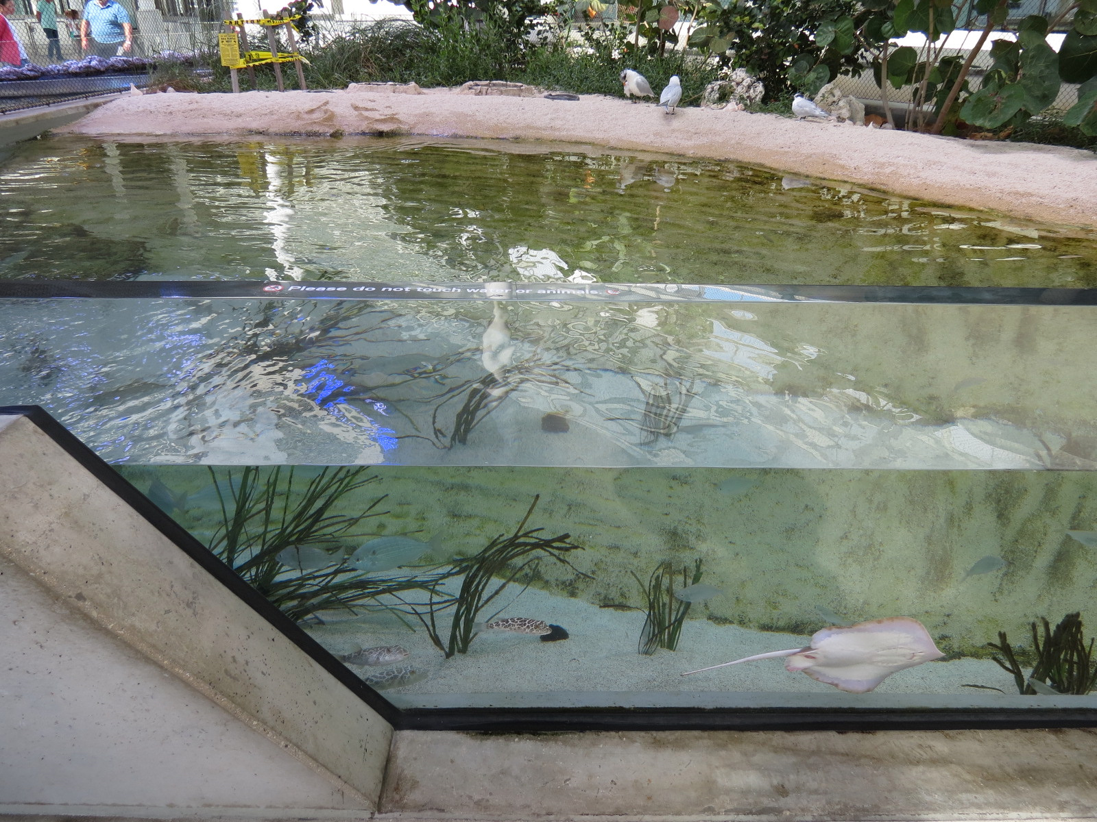 Aquarium - Aviary - Beach Exhibit