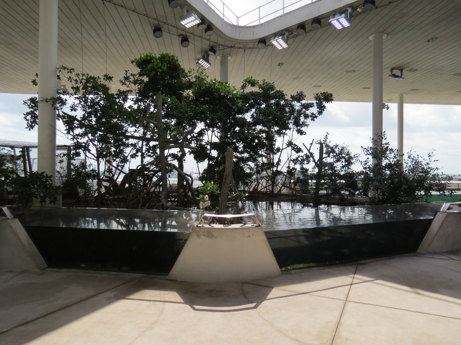 Aquarium - Aviary Interior