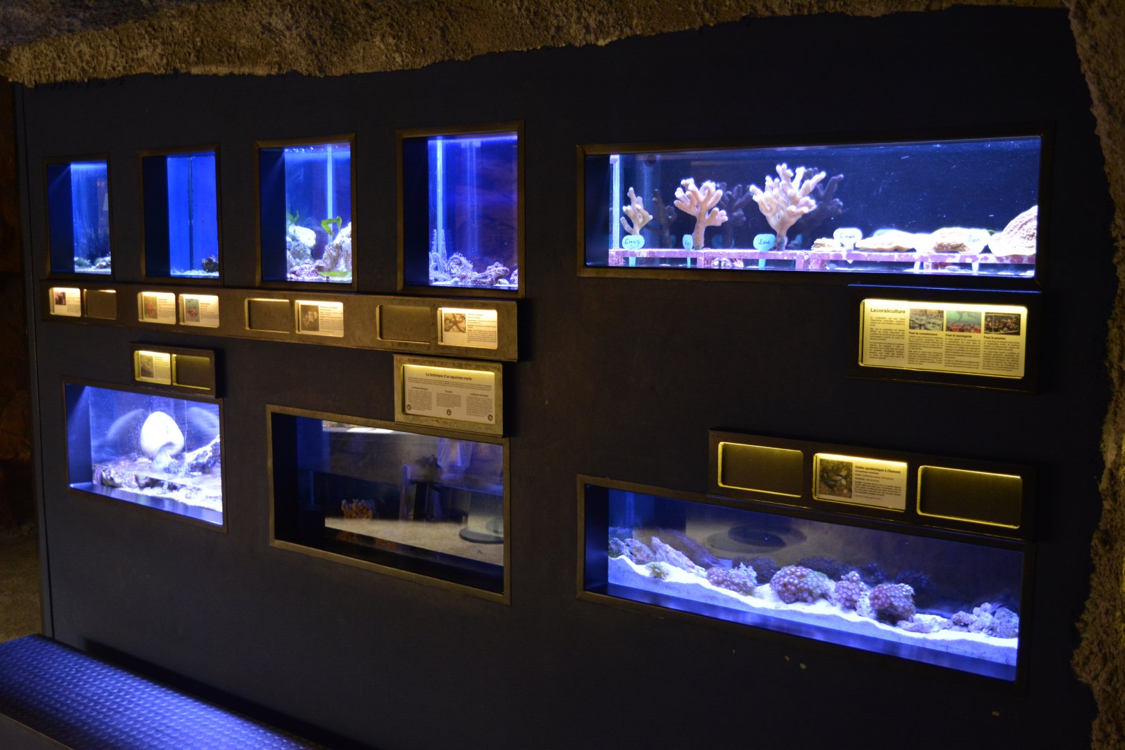 Aquarium Biarritz - Aquarium for small fishes and invertebrates