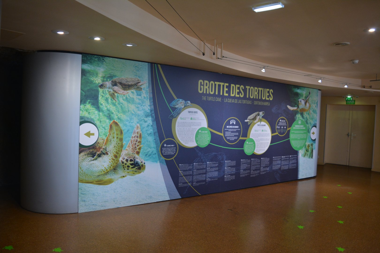 Aquarium Biarritz - Entry to sea turtle area