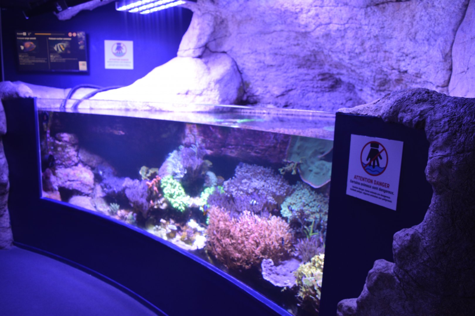 Aquarium Biarritz - Example of Indo-Pacific aquariums