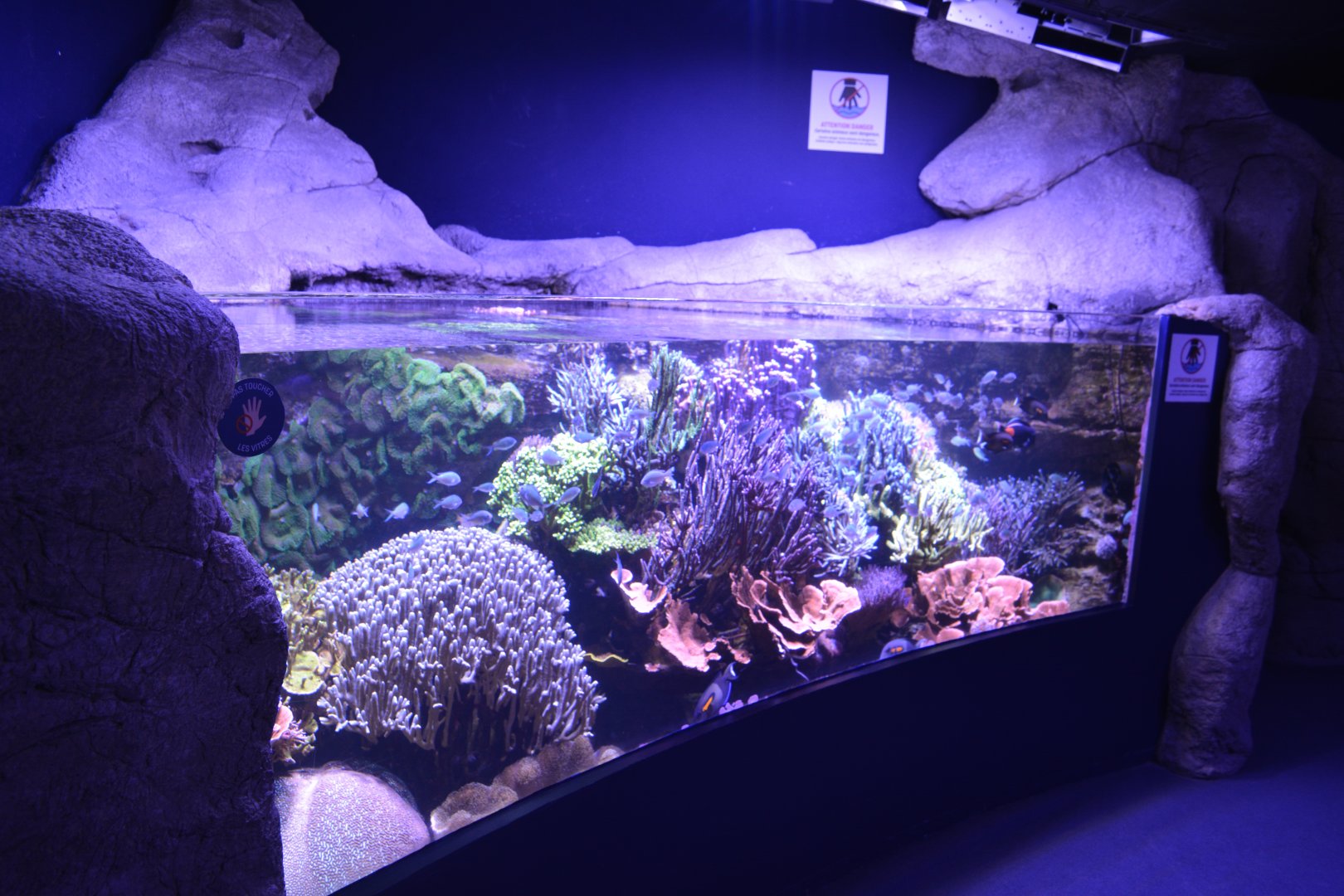 Aquarium Biarritz - Example of Indo-Pacific aquariums