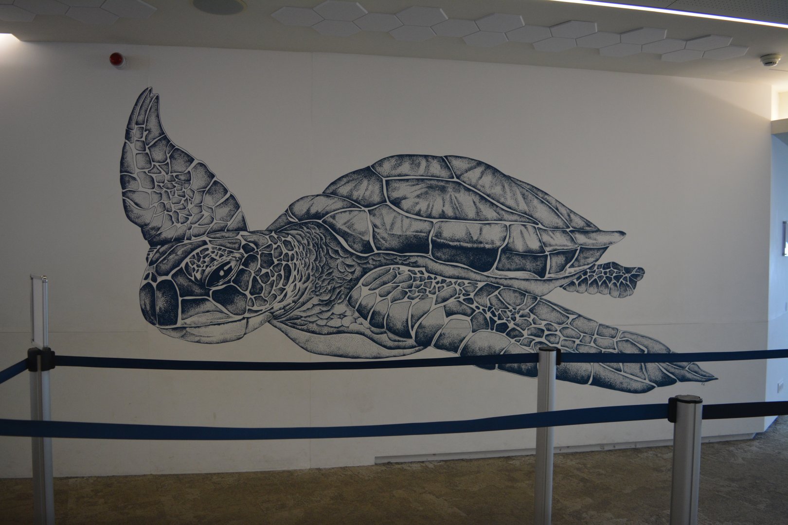 Aquarium Biarritz - Mural at the entrance