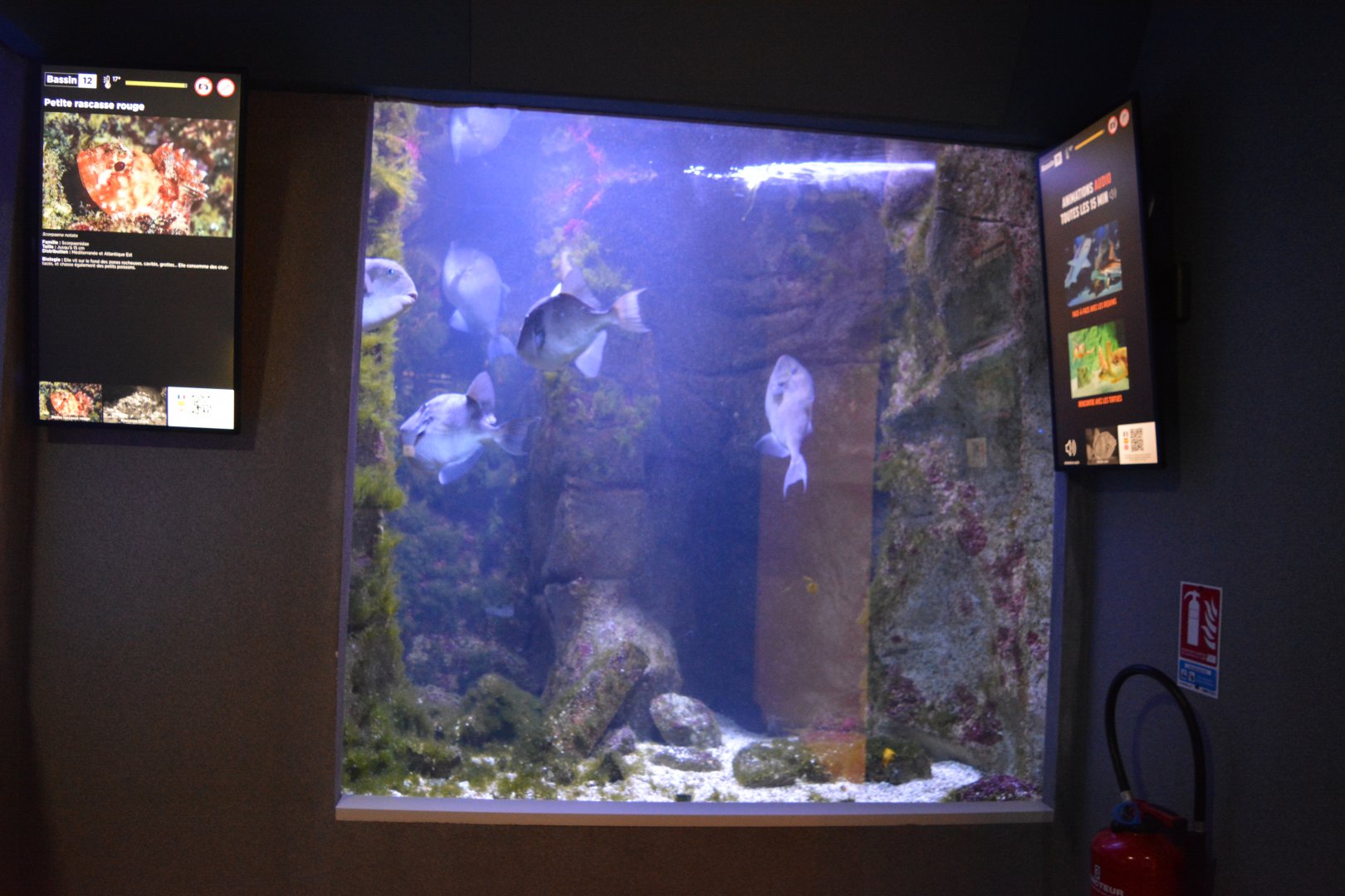 Aquarium Biarritz - One of the Golf of Vizcaya aquariums